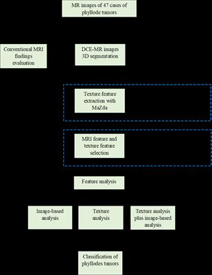 The Potential Value of Texture Analysis Based on Dynamic Contrast-Enhanced MR Images in the Grading of Breast Phyllode Tumors